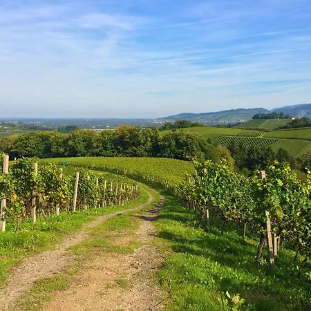 Winzerhof Maennle Prázdninový dům Oberkirch (Baden)