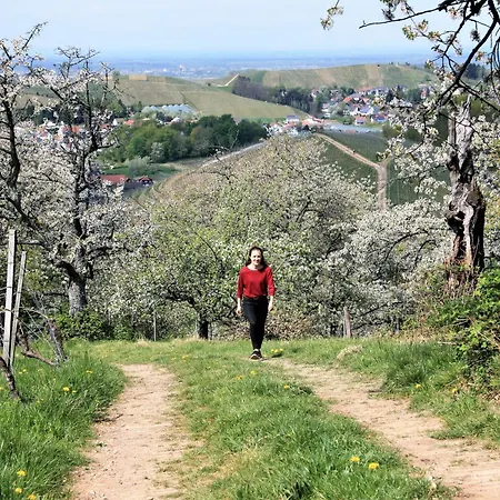 Winzerhof Maennle Prázdninový dům *
