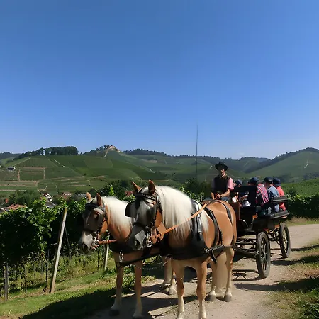 Winzerhof Maennle Prázdninový dům Oberkirch (Baden)