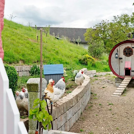Prázdninový dům Winzerhof Maennle *